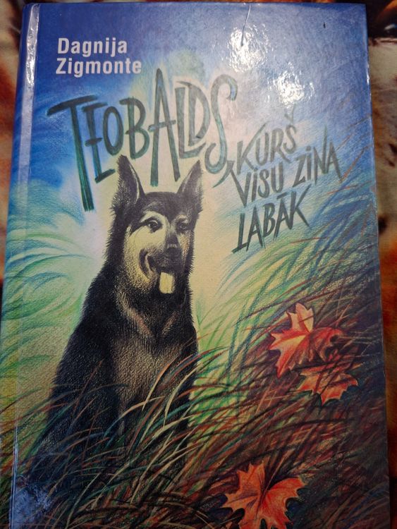 Teobalds, kurš visu zināt labāk 