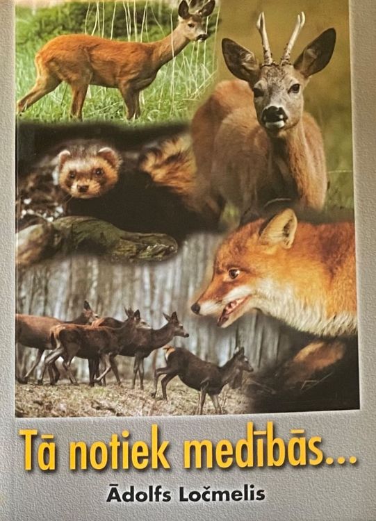 Tā notiek medībās