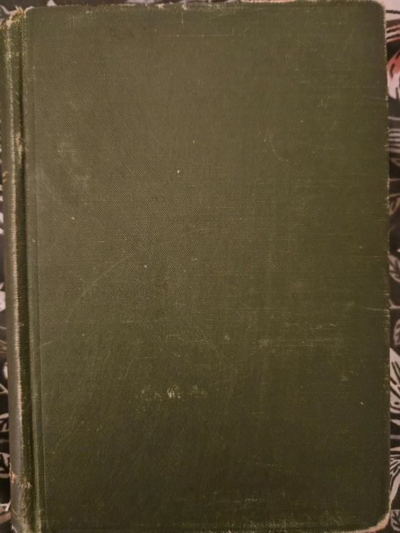 Puškina sacerējumi, VIII daļa