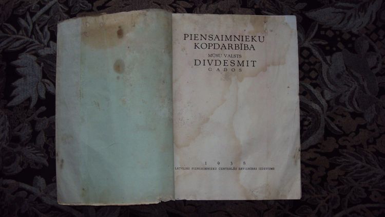 Piensaimnieku kopdarbība mūsu valsts divdesmit gados