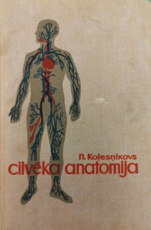 Cilvēka anatomija