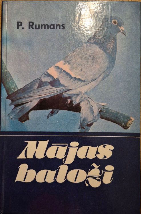 Mājas baloži