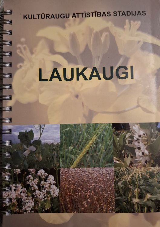 Kultūraugu attīstības stadijas - Laukaugi