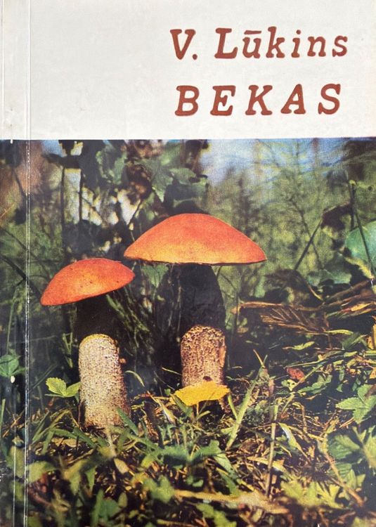 Bekas