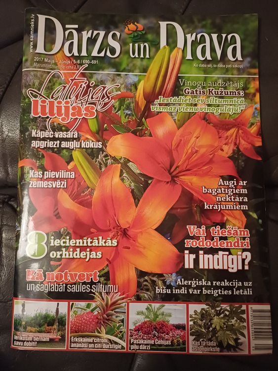 Dārzs un Drava /2017 Maijs-Jūnijs
