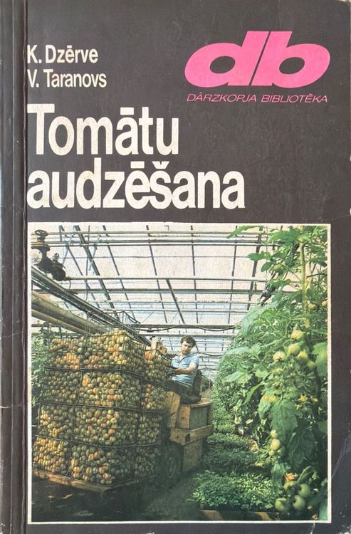 Tomātu audzēšana
