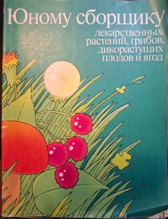 Юному сборщику лекарственных растений, грибов, дикорастущих плодов и ягод