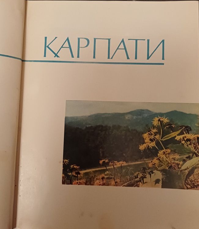 Карпати