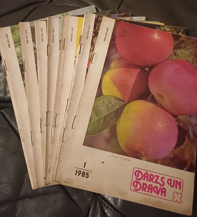 Dārzs un Drava / 1985 / 11gb.