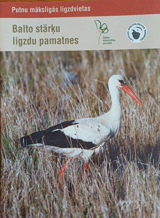 Balto stārķu ligzdu pamatnes