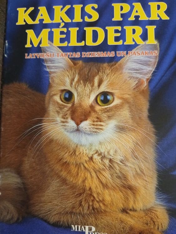 Kaķis par melderi