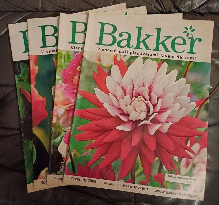 Bakker/2008-2009/4gb.