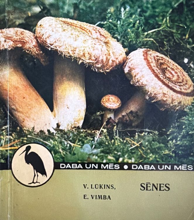 Sēnes