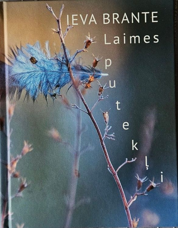 Laimes putekļi