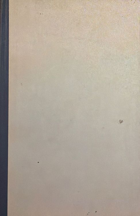 Nepabeigtais portrets