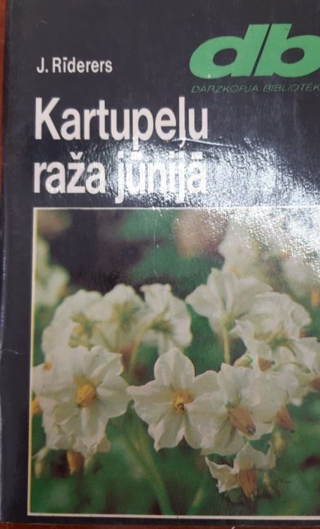 Kartupeļu raža jūnijā
