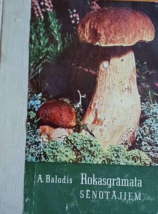 Rokasgrāmata sēņotājiem