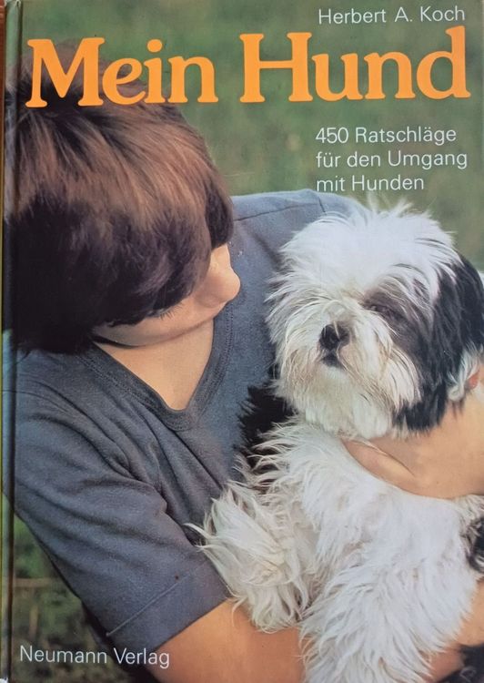 Mein Hund