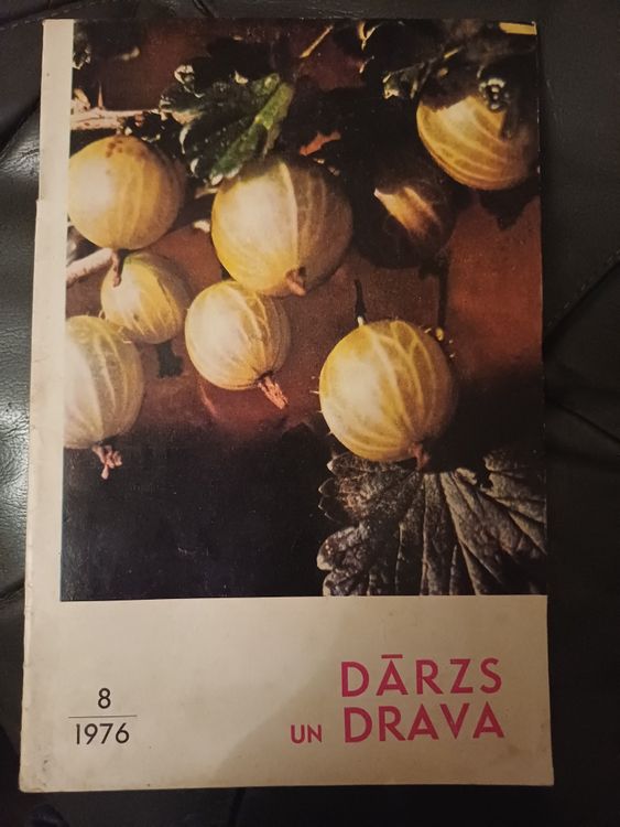 Dārzs un Drava / 1976 