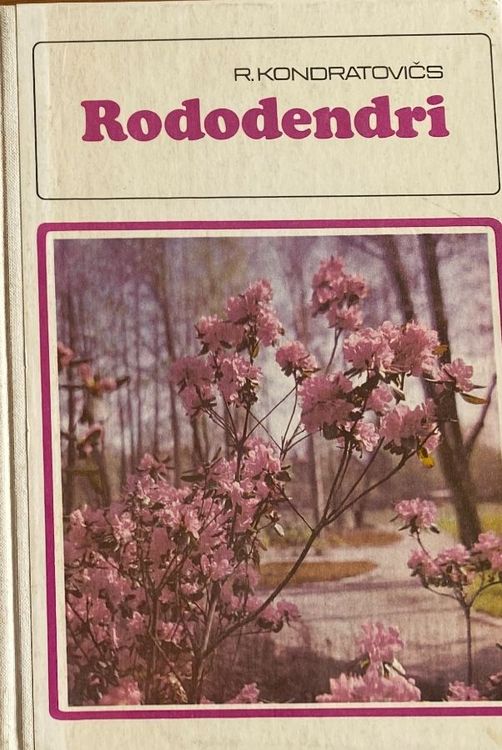 Rododendri