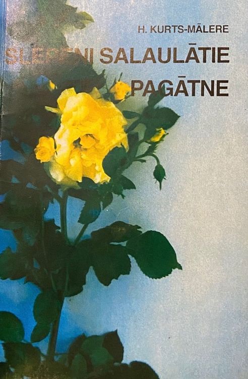 Slepeni salaulātie. Pagātne
