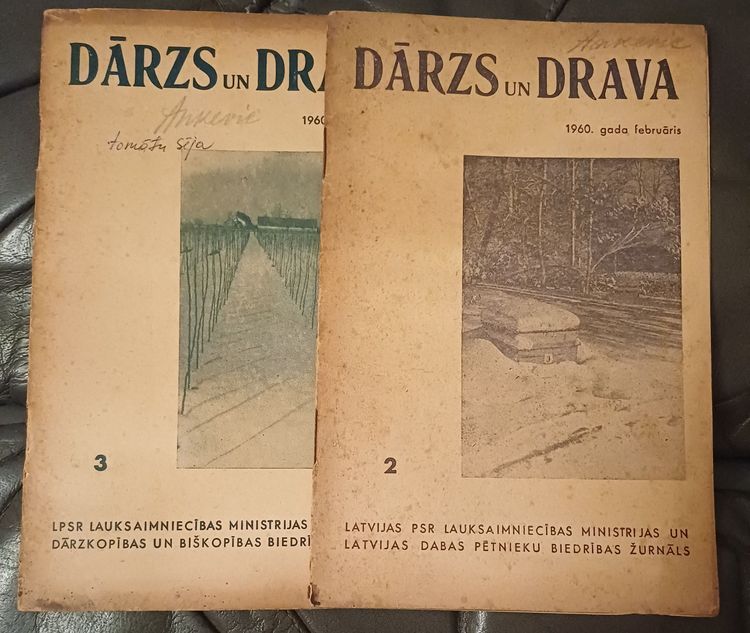 Dārzs un Drava / 1960 / 2gb.