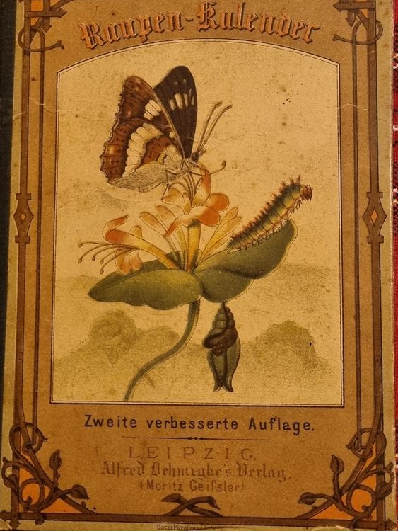 Kāpuru kalendārs. Anleitung zur Aufsuchung und Bestimmung der deutschen Raupen