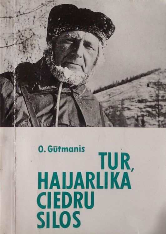 Tur, Haijarlika ciedru silos