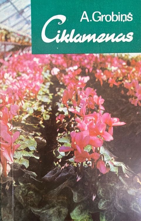 Ciklamenas