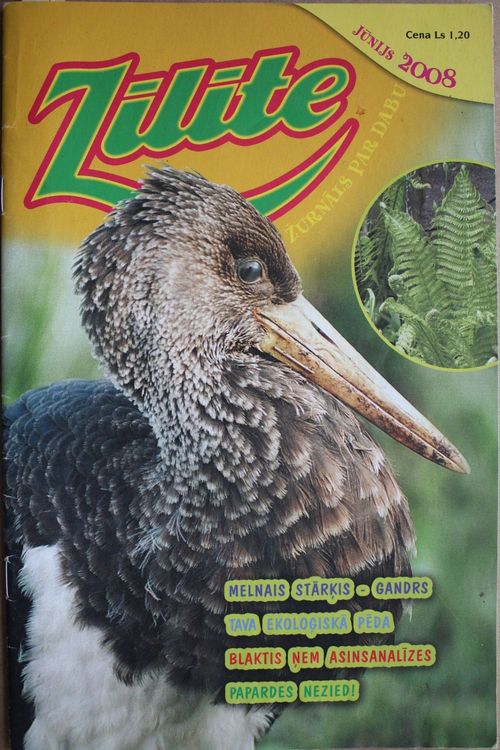 Zīlīte. 2008 g. Nr.jūnijs.