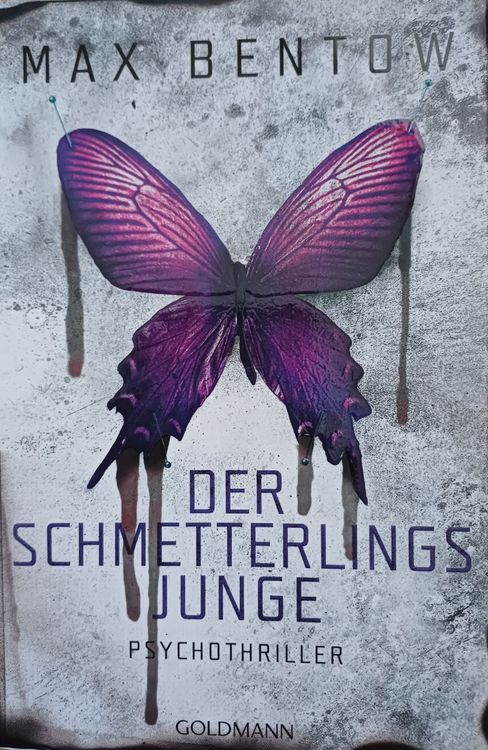 DER SCHMETTERLINGS JUNGE