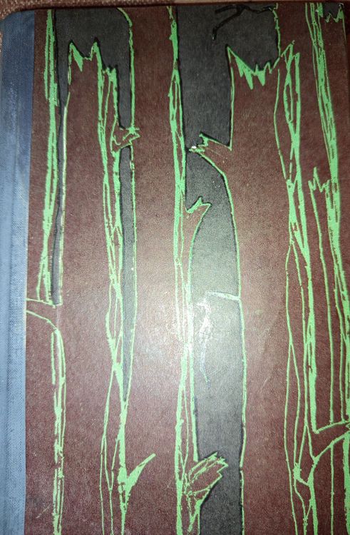 Aivars Silava dzīve