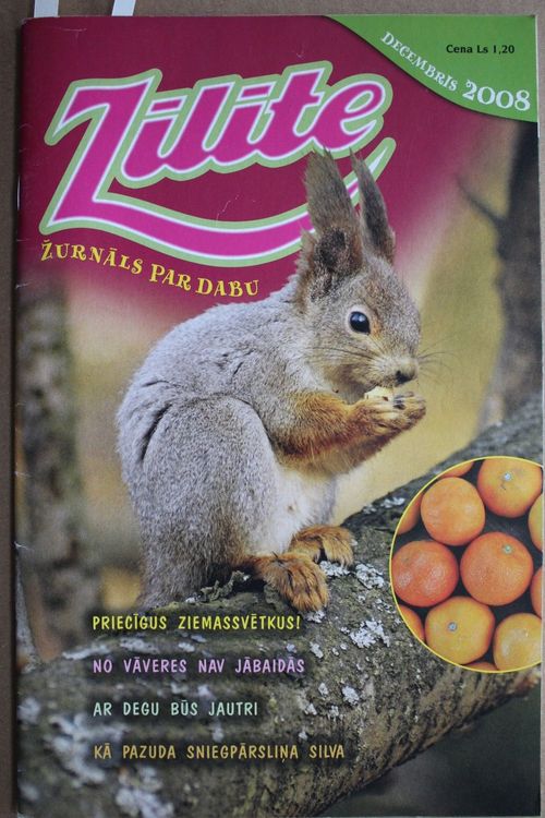 Zīlīte. 2008 g. Nr.decembris.