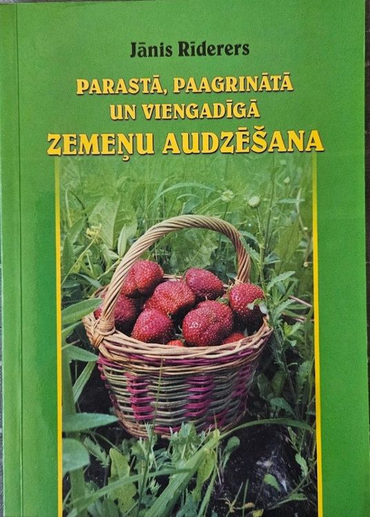 Parastā, paagrinātā un viengadīgā zemeņu audzēšana