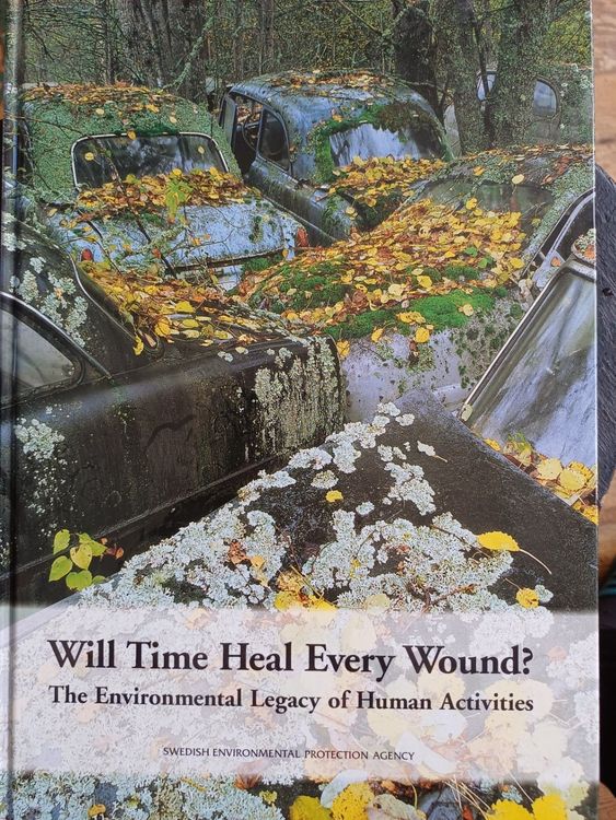 Will Time Heal Every Wound?