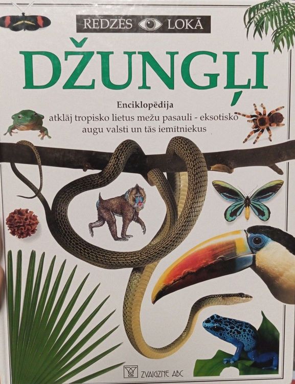 Džungļi