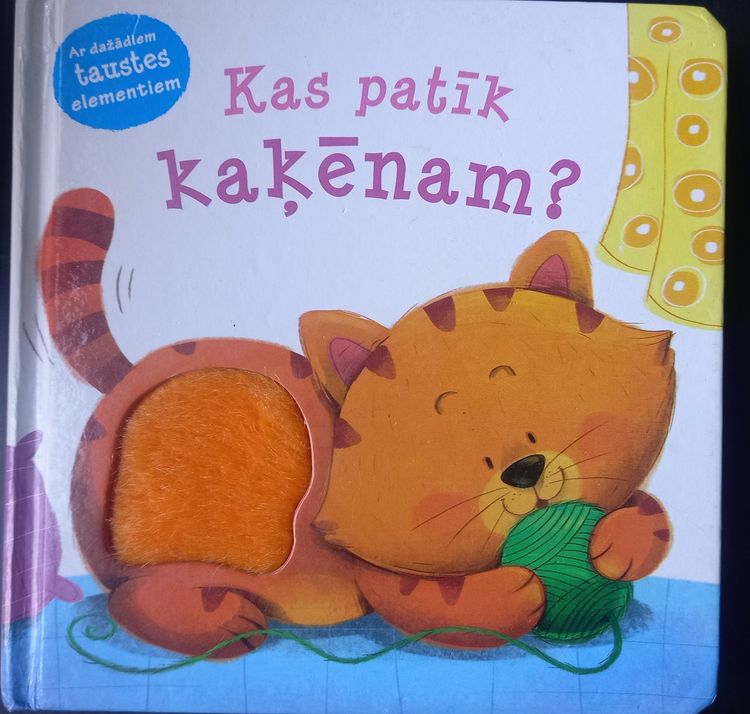 Kas patīk kaķēnam?