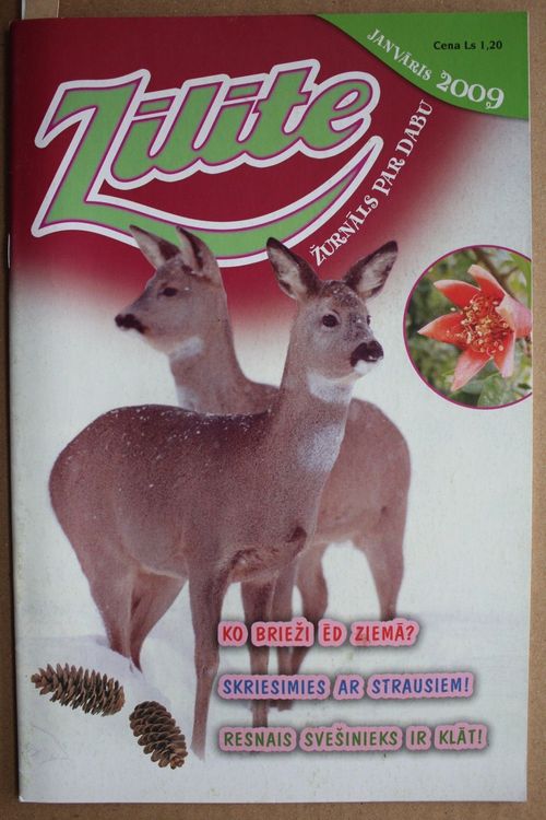 Zīlīte. 2009 g. Nr. janvāris.