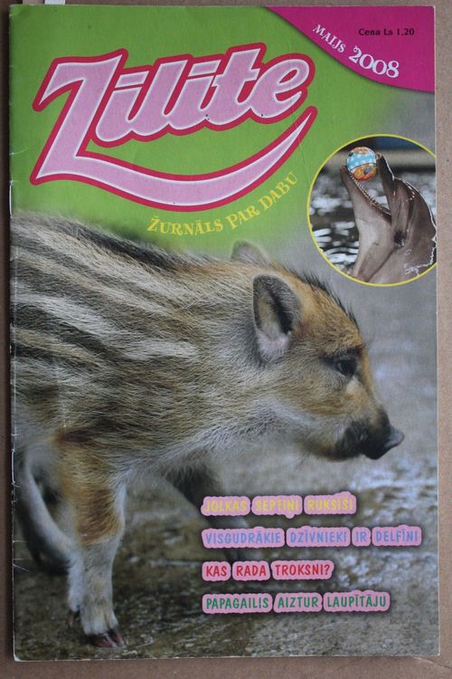 Zīlīte. 2008 g. Nr.maijs.