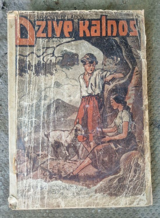 Dzīve kalnos