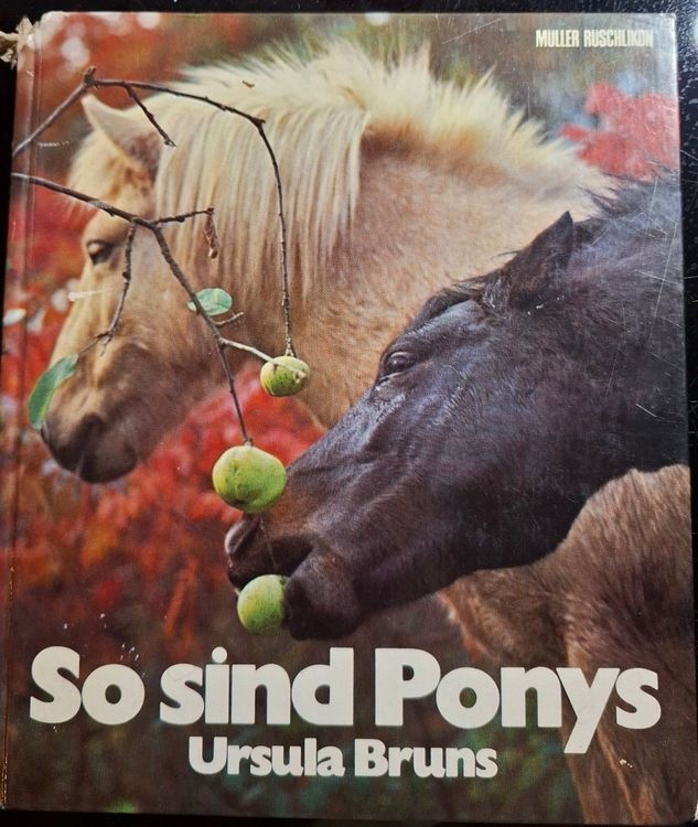 So sind Ponys