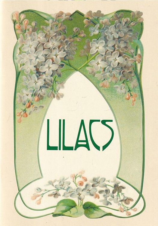 Lilacs