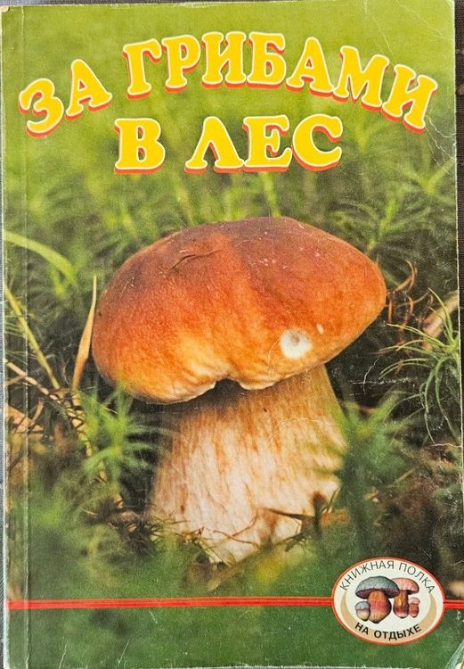  За грибами в лес