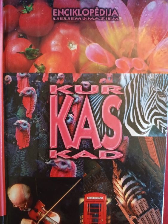 Kas kur kad 16