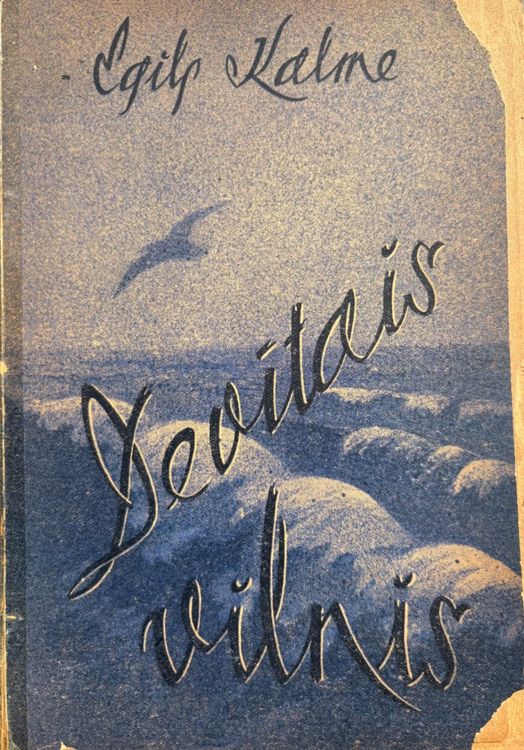 Devītais vilnis