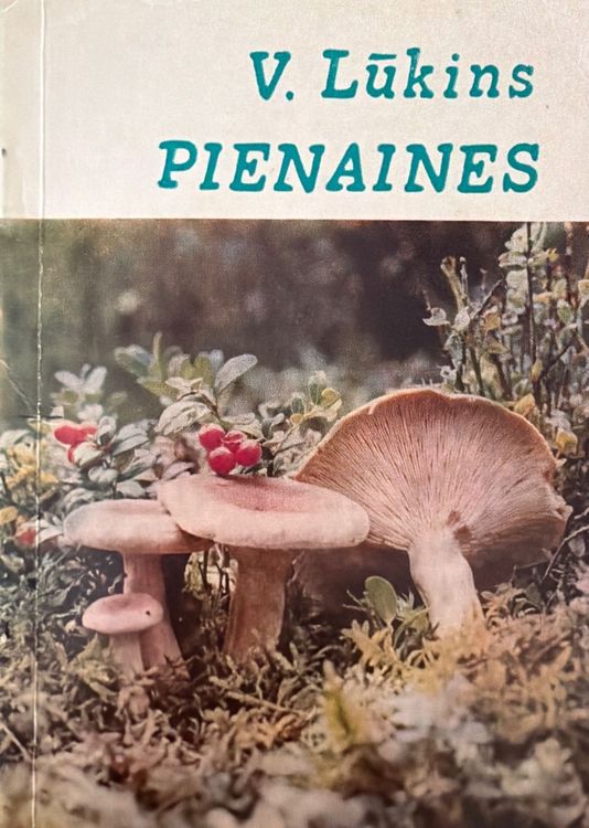 Pienaines