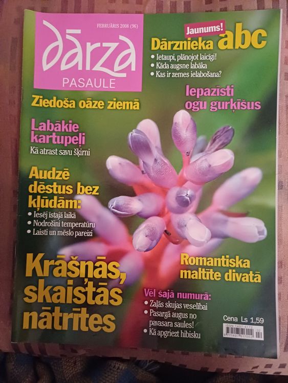 Dārza Pasaule/2008/februāris