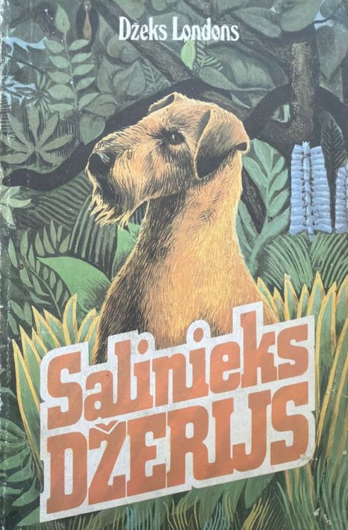 Salinieks Džerijs