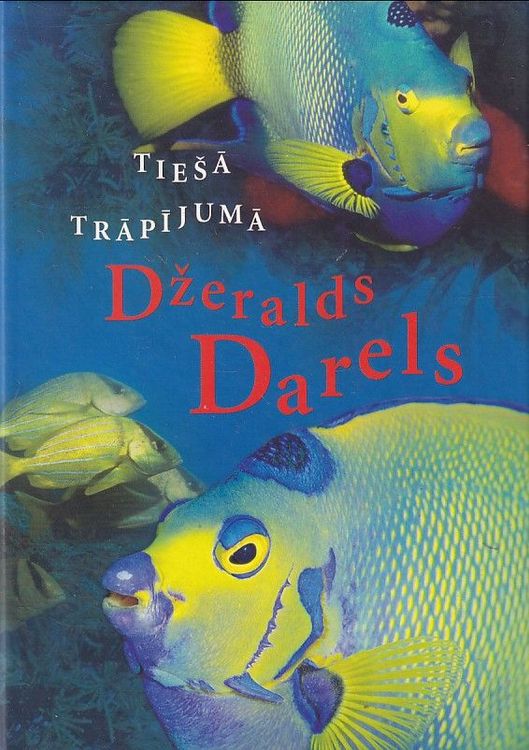 Tiešā trāpījumā