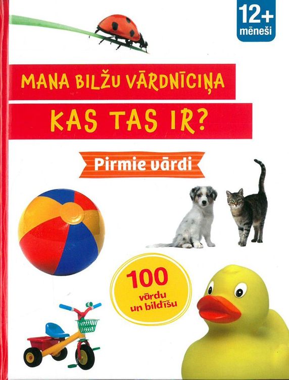 Mana bilžu vārdnīciņa. Kas tas ir? Pirmie vārdi. 12+ mēneši